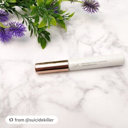 ラブ・ライナー オールラッシュマスク/ラブ・ライナー/マスカラを使ったクチコミ(1枚目)