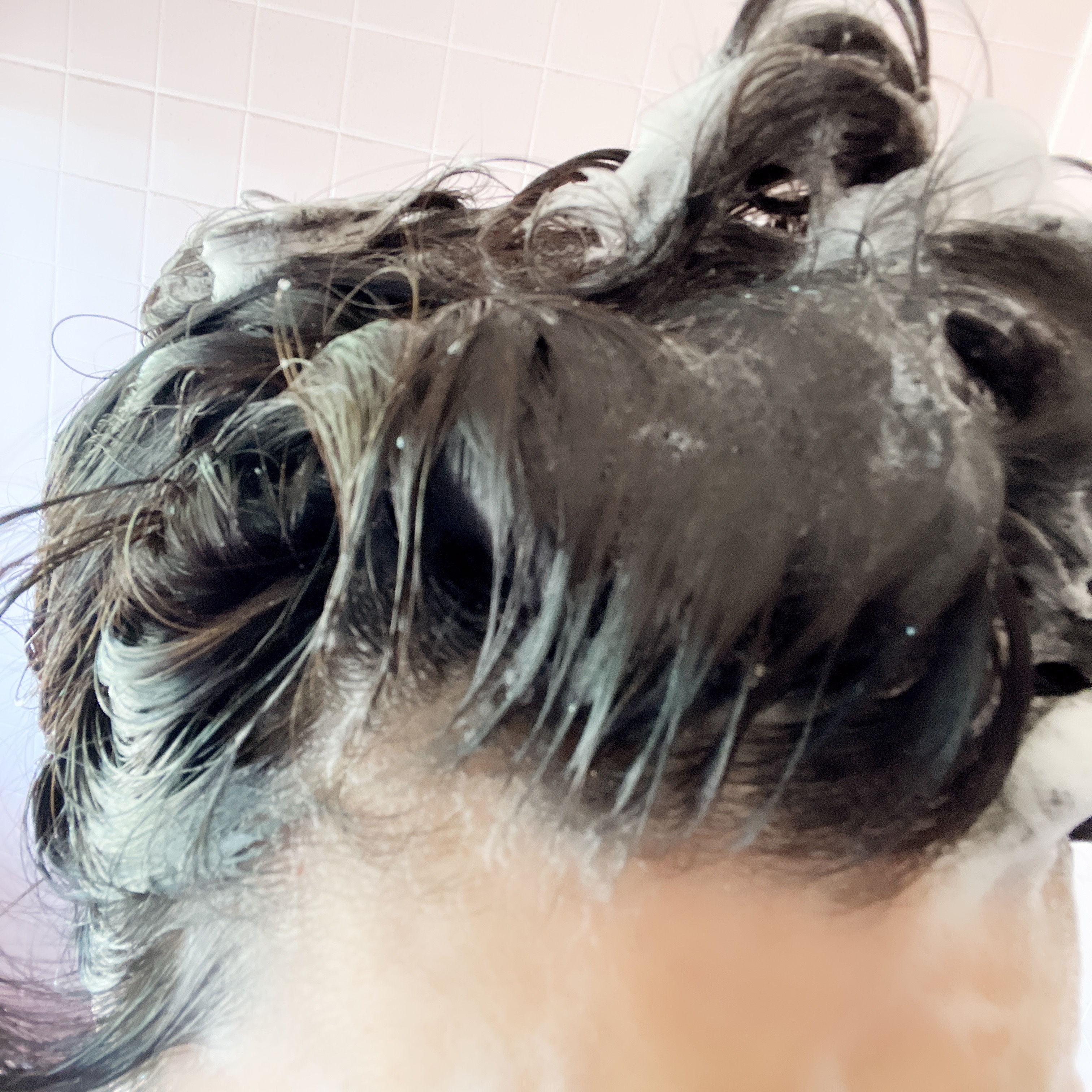 ミラクルズ サルフェート無添加&ジェントルリペア ボンドリペア シャンプー/トリートメント/パンテーン/市販シャンプーを使ったクチコミ（2枚目）