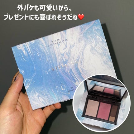 フィット my カラーパレット/STEIASUR(ステイアシュール)/マルチパレットを使ったクチコミ(6枚目)