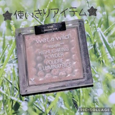 MegaGlo Highlighting Powder/wet 'n' wild/ハイライトを使ったクチコミ（1枚目）