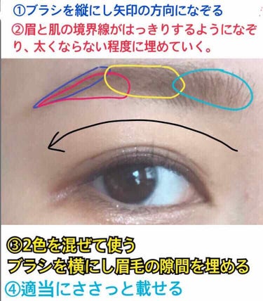 ❄️コスメは恋のお守り❄️ on LIPS 「こんにちは！！LIPSやってる友達に、その綺麗な眉の描き方を載..」（2枚目）