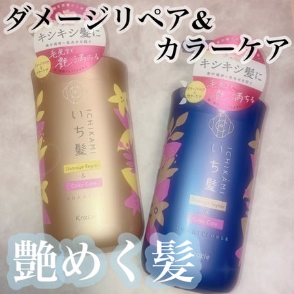 ãã¡ãŒãžãªãã¢ïŒã«ã©ãŒã±ã¢ ã·ã£ã³ããŒ/ã³ã³ãã£ã·ã§ããŒ/ãã¡é«ª/åžè²©ã·ã£ã³ããŒã䜿ã£ãã¯ãã³ãïŒ1æç®ïŒ