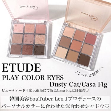 プレイカラーアイズ ダスティキャット/ETUDE/アイシャドウパレットを使ったクチコミ（2枚目）