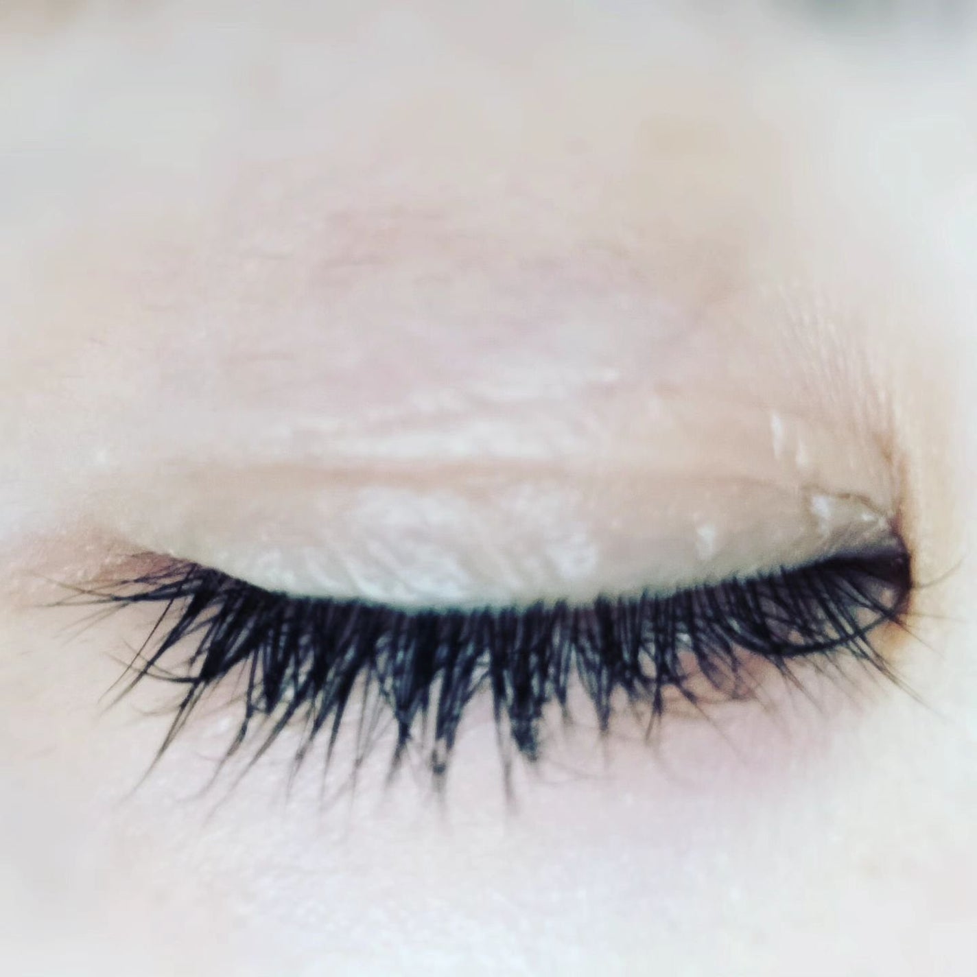 TWOOLダブルアイリッドハイブリットフィルム/SHOBIDO/二重まぶた用アイテムを使ったクチコミ(7枚目)