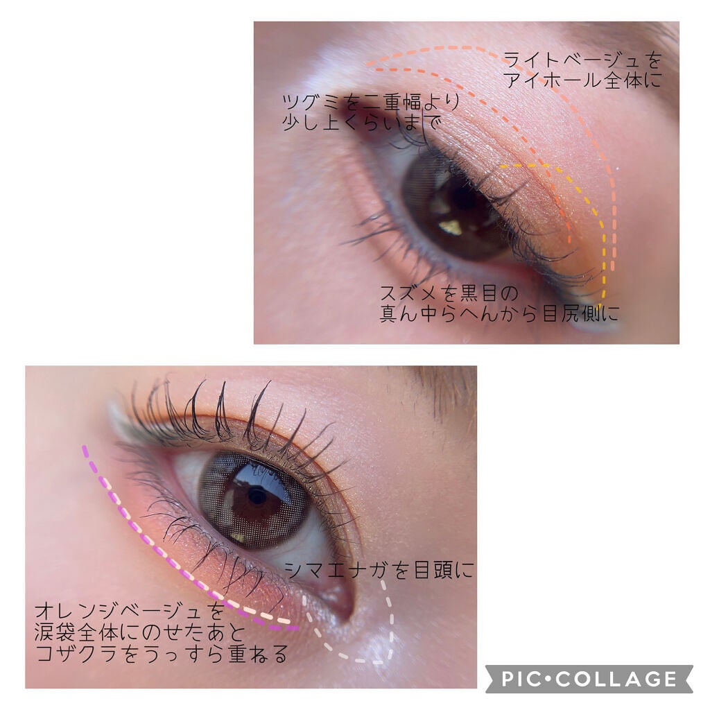 ファーストバードアイシャドウパレット/CLARUM/アイシャドウパレットを使ったクチコミ(4枚目)