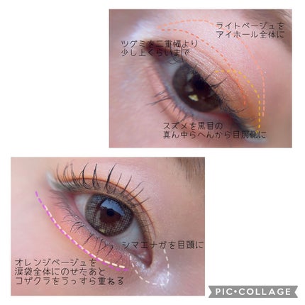 ファーストバードアイシャドウパレット/CLARUM/アイシャドウパレットを使ったクチコミ(4枚目)