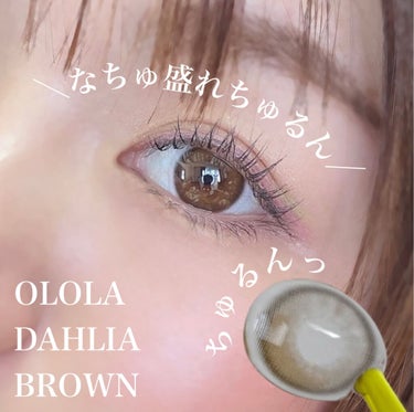 ダリアブラウンマンスリー (DAHLIA BROWN monthly)/OLOLA/１ヶ月（１MONTH）カラコンを使ったクチコミ（1枚目）