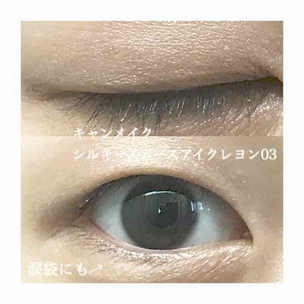 シルキースムースアイクレヨン/キャンメイク/リキッドアイシャドウを使ったクチコミ(4枚目)