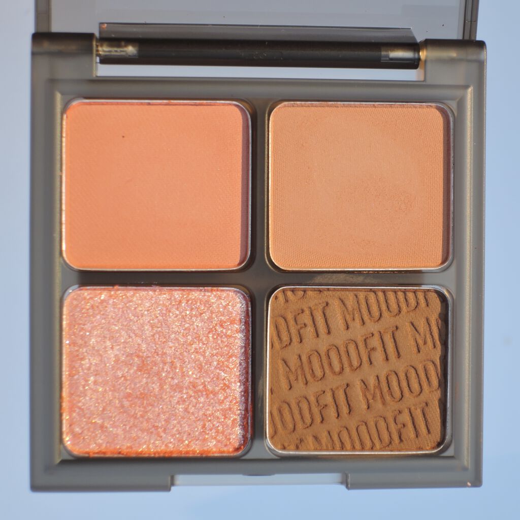 ムードフィットシャドウパレット/MERZY/アイシャドウパレットを使ったクチコミ（3枚目）