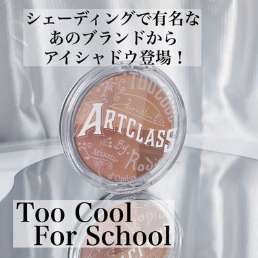 ARTICLASS BLENDING EYES/too cool for school/パウダーアイシャドウを使ったクチコミ（1枚目）