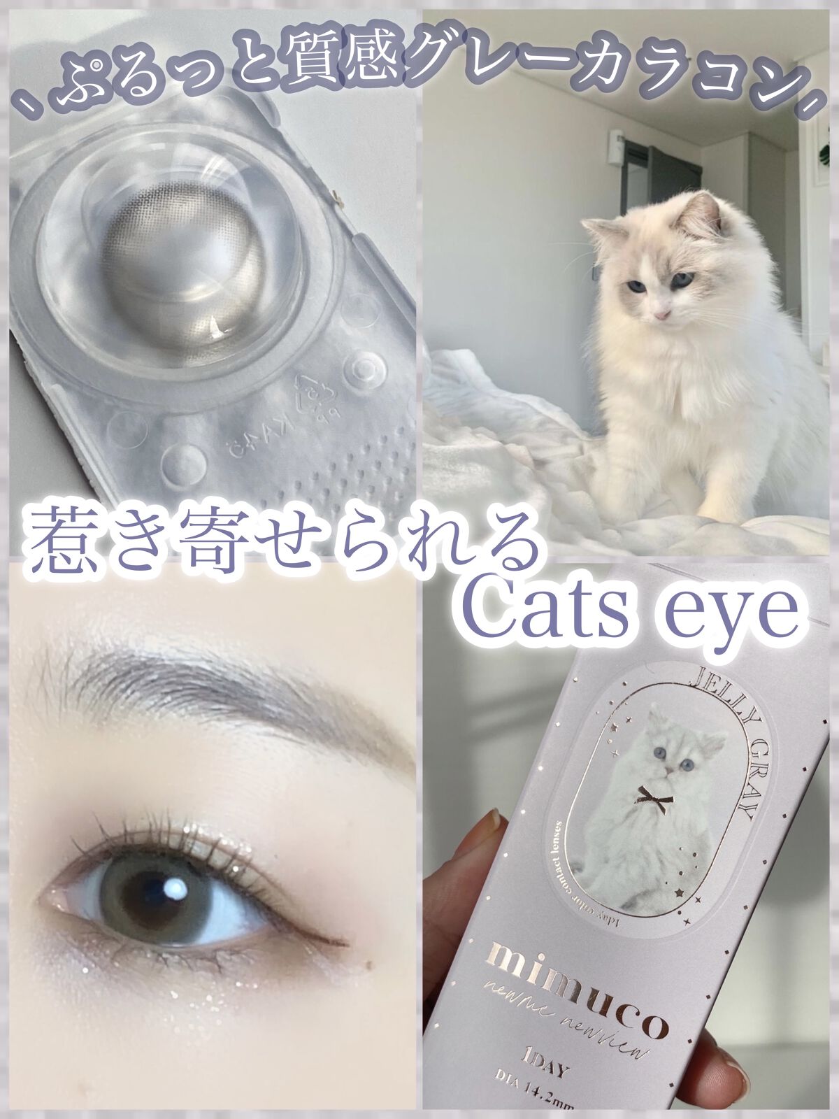 𓏸 𓂂 𓈒 ぷるんと潤み感漂う‪𓂃 ナチュラルなグレーカラコン ‪‪❤︎‬🐺‪‪𓈒 𓂂 𓏸




┈┈┈┈┈┈┈┈┈┈┈┈┈┈┈┈┈┈┈┈┈┈┈┈


‎𓊆 mimuco 𓊇
ゼリーグレー

￥1