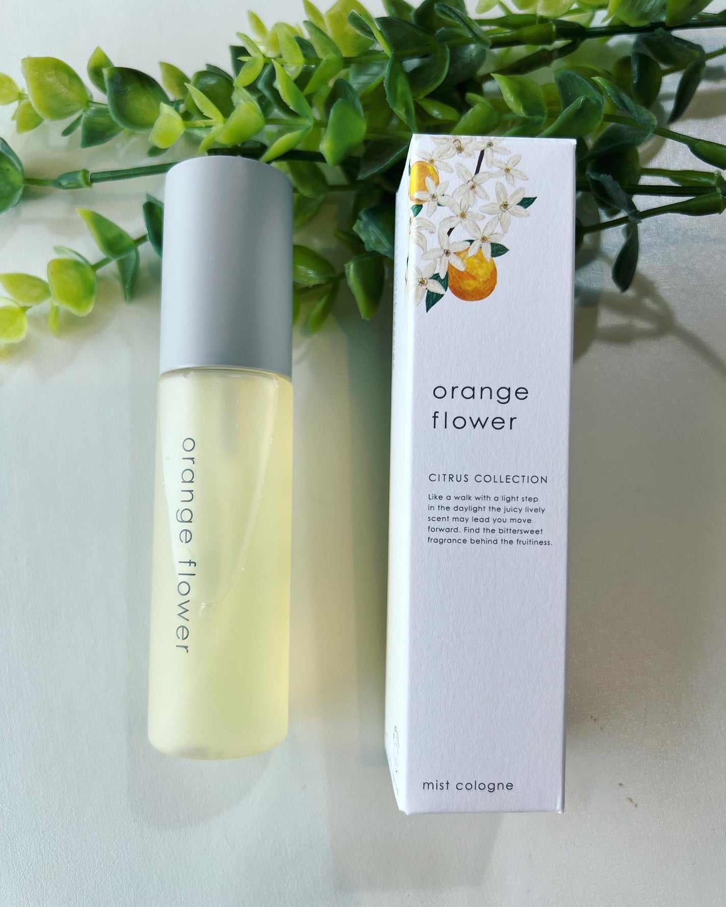 オレンジフラワーミストコロン/生活の木/香水(その他)を使ったクチコミ(1枚目)