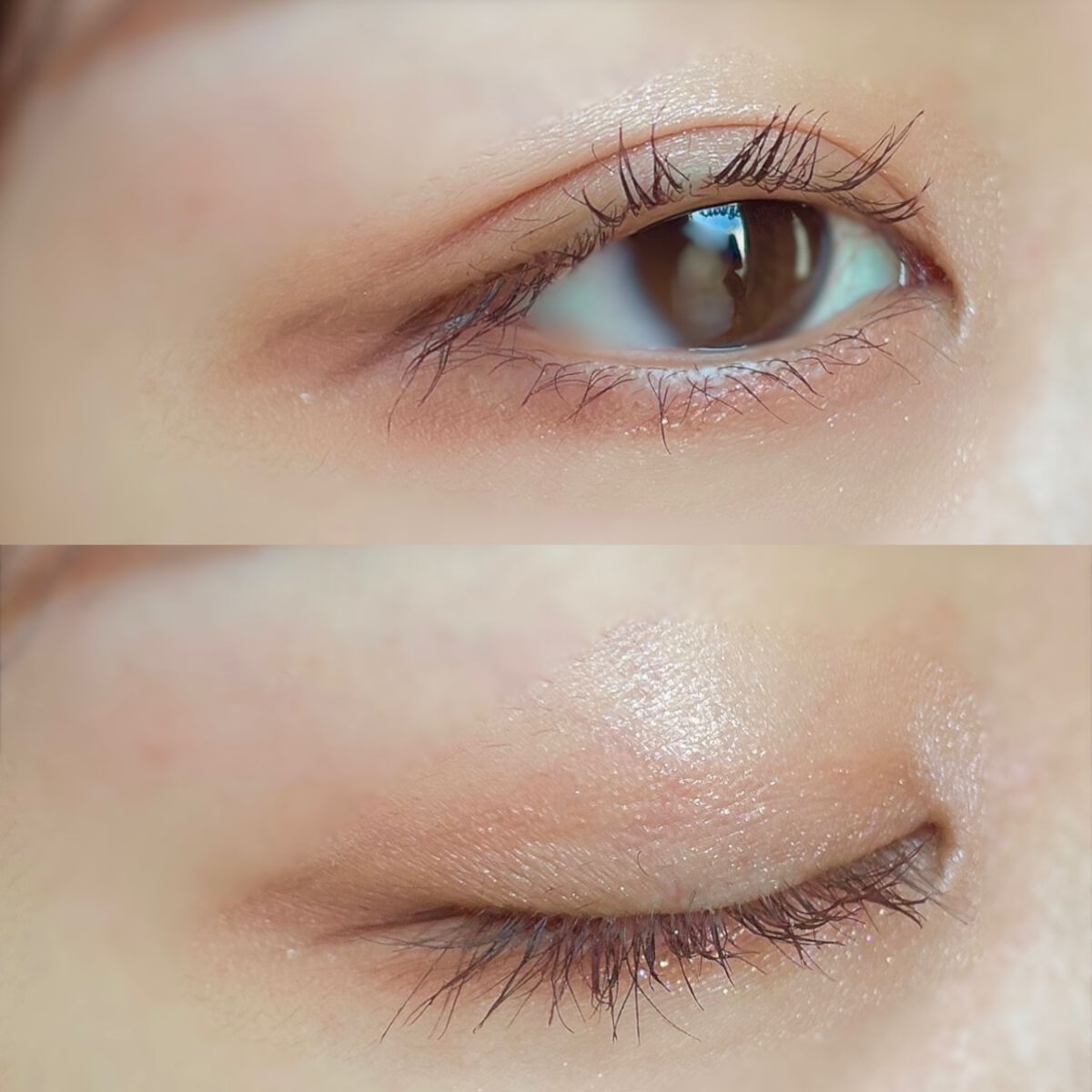 シルキースフレアイズ(マットタイプ)/キャンメイク/アイシャドウパレットを使ったクチコミ(5枚目)