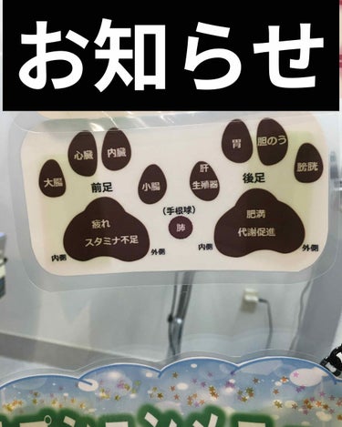 

こんばんは！

ご無沙汰しています！

実は今実家の犬が低血糖のためうまく歩けない、あとずっと見とかないと全身痙攣をおこしてしまい泡をふいてしまう状態です！

なので血糖値をあげるためにブドウ糖など