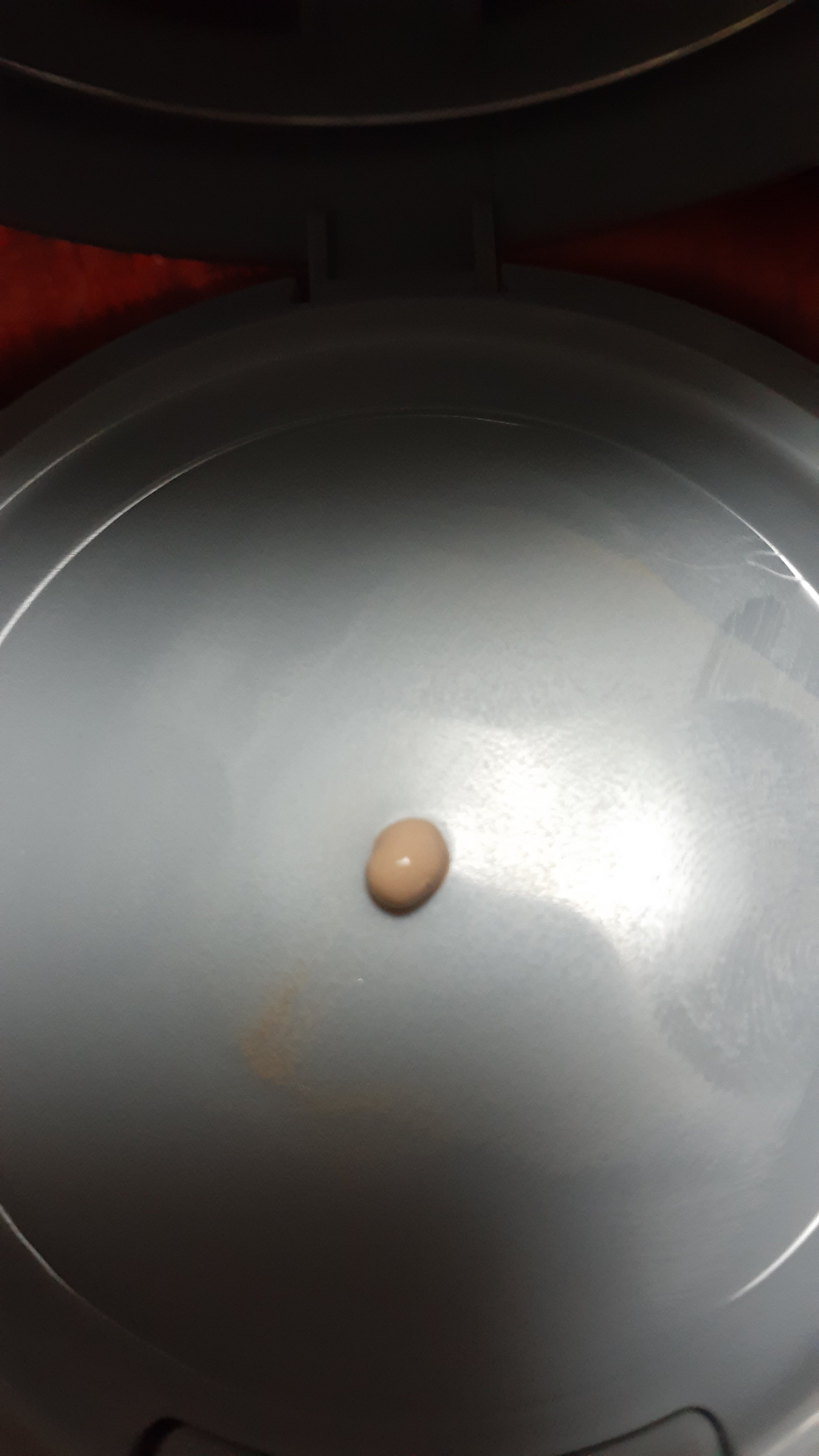 セラムリキッドファンデーション SF-002 light beige/& WOLF/リキッドファンデーションを使ったクチコミ（3枚目）