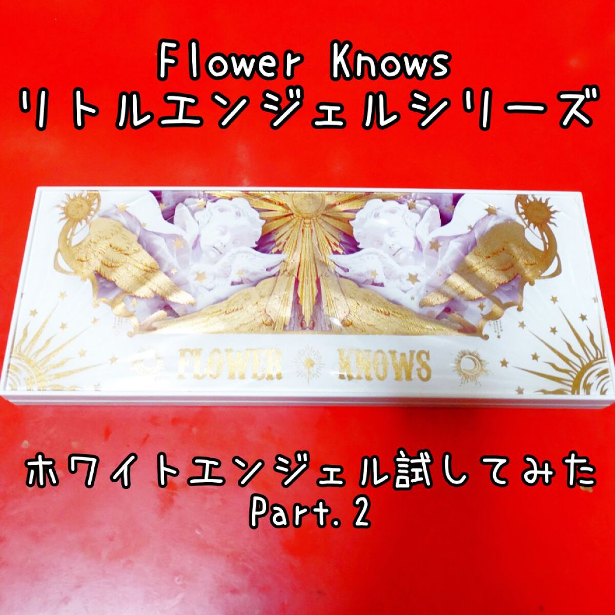 リトルエンジェル12色アイシャドウパレット/FlowerKnows/アイシャドウパレットを使ったクチコミ（1枚目）