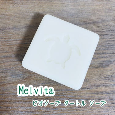 ビオソープ タートル ソープ/Melvita/洗顔石鹸を使ったクチコミ（1枚目）