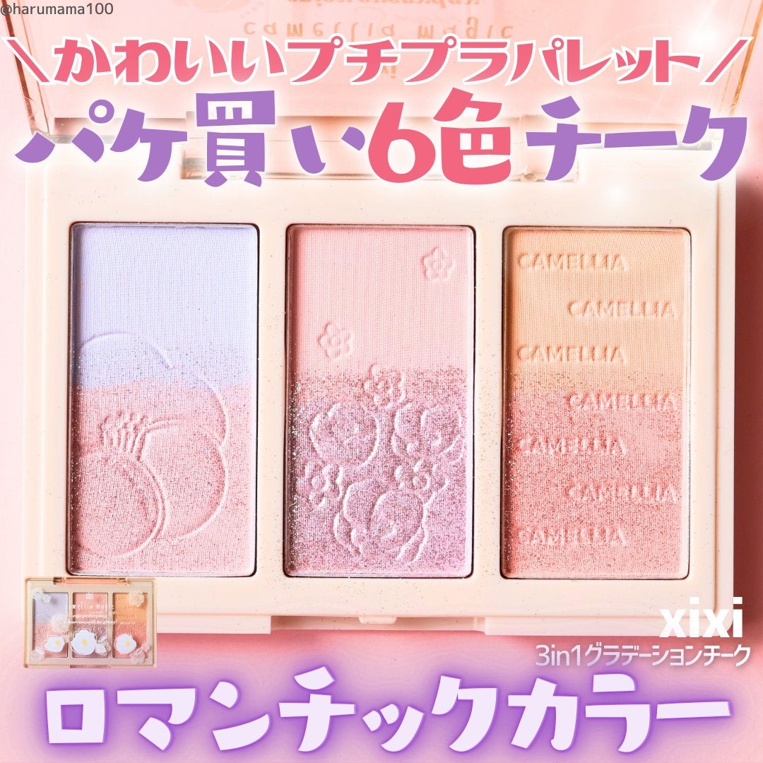 3in1 グラデーション チーク/xixi/パウダーチークを使ったクチコミ(1枚目)
