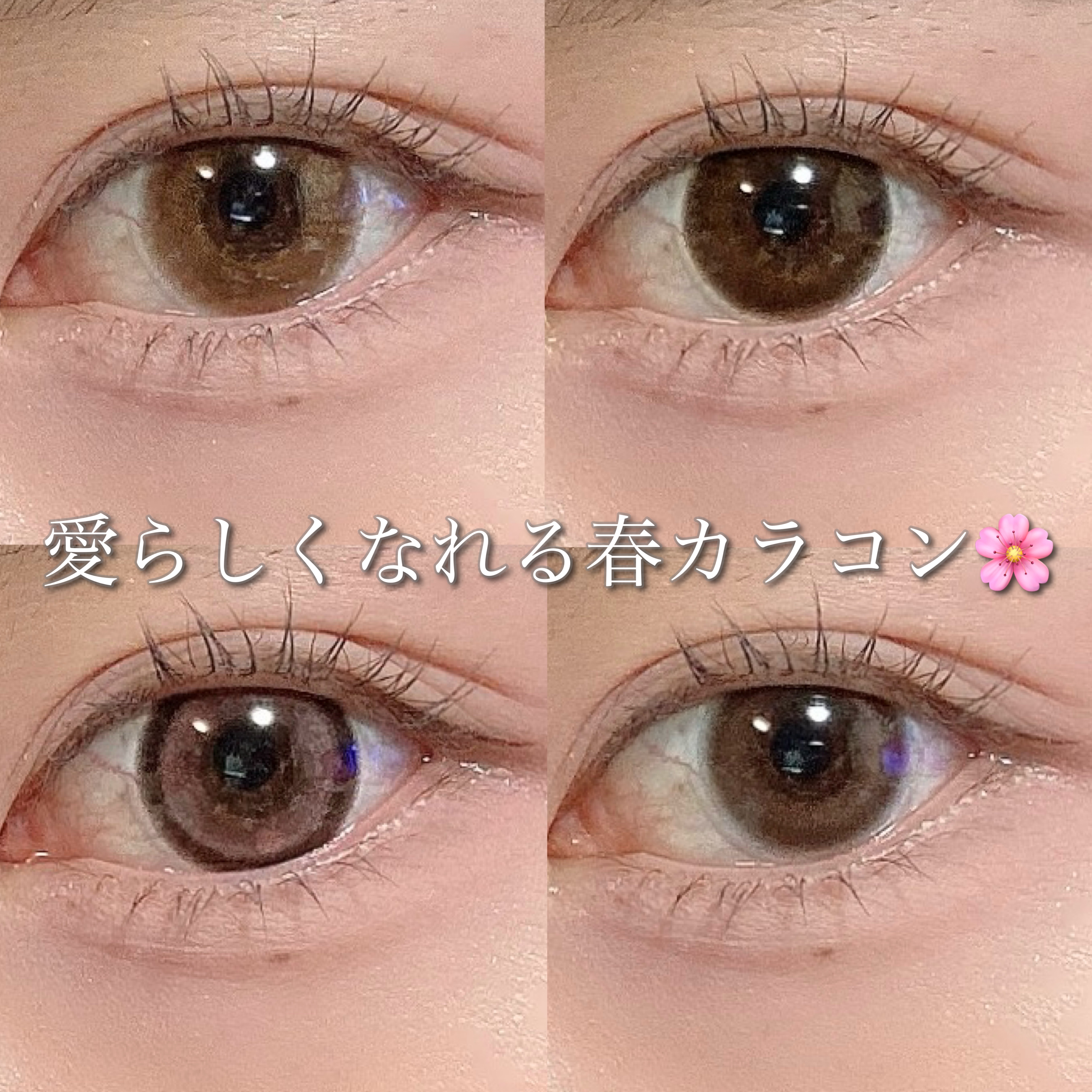 candymagic1day（キャンディーマジックワンデー）/candy magic/ワンデー（１DAY）カラコンを使ったクチコミ（1枚目）