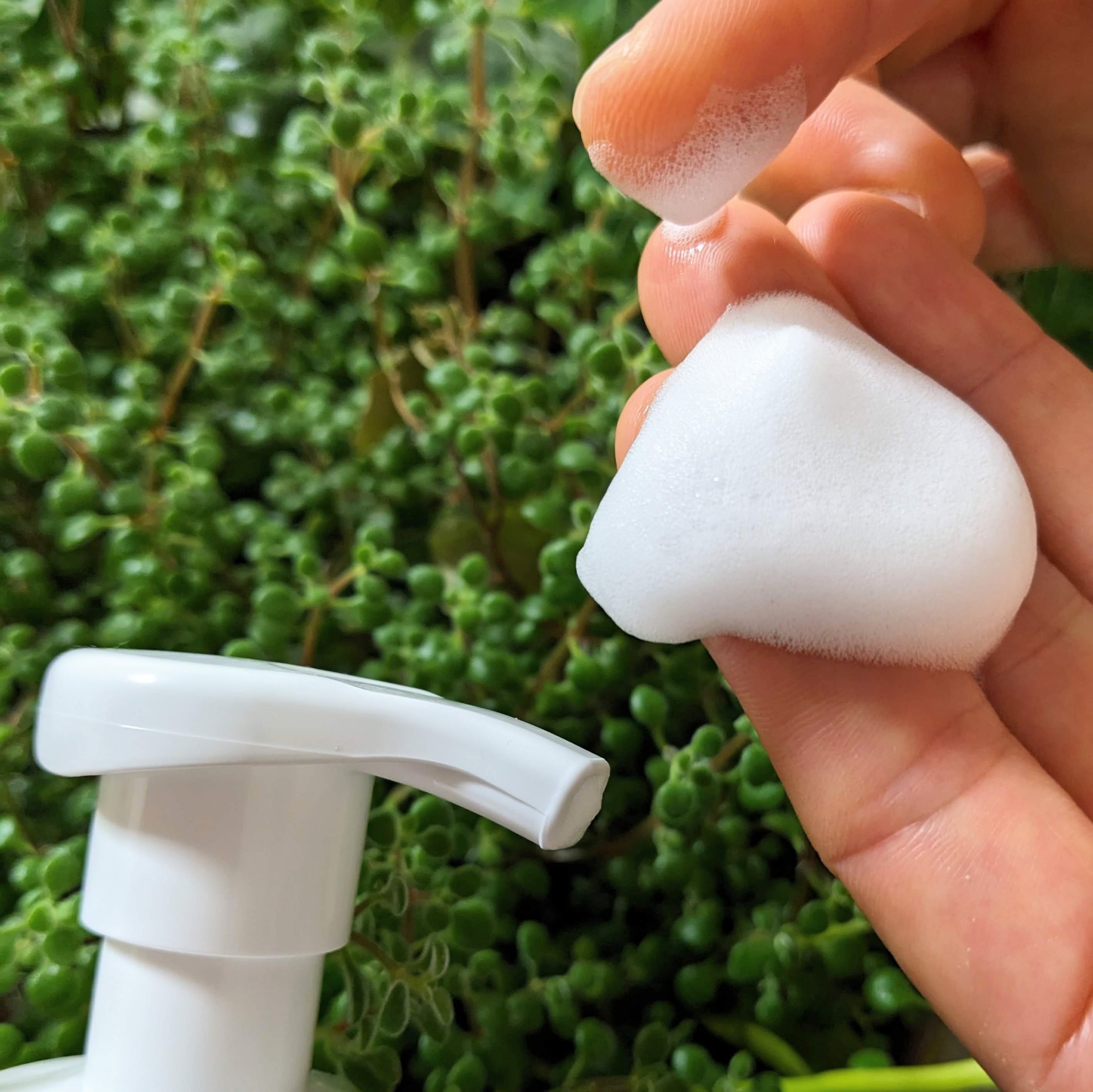 デリケートウォッシュ リッチフォーム/fem tone/デリケートゾーンケアを使ったクチコミ（3枚目）