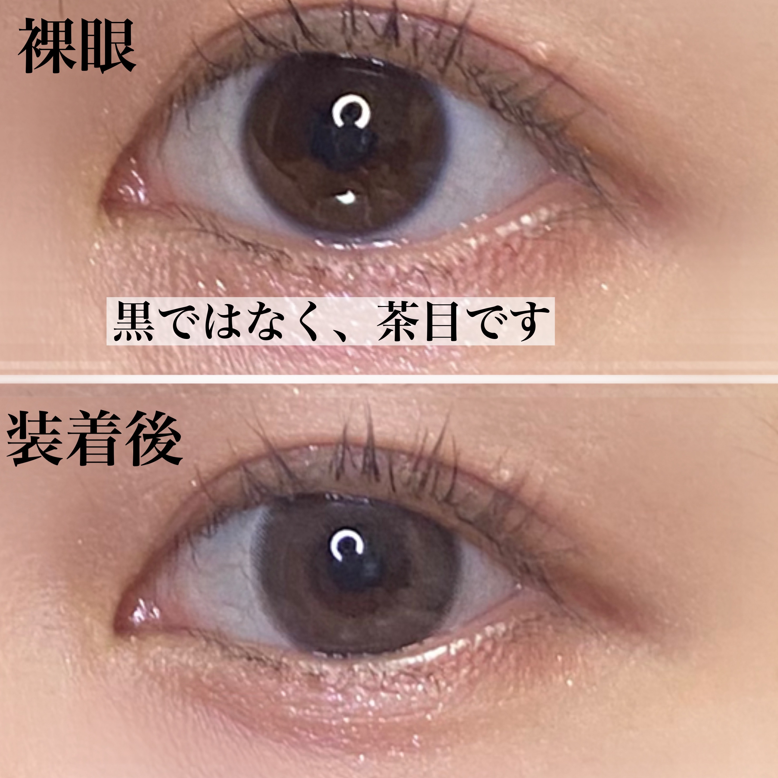 MOLAK 1day ダークピオニー/MOLAK/ワンデー（１DAY）カラコンを使ったクチコミ（3枚目）