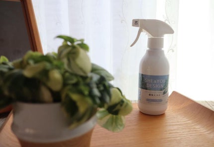 SHE&YOU 殺虫ミスト/SHE&YOU DESIGN/その他を使ったクチコミ(4枚目)