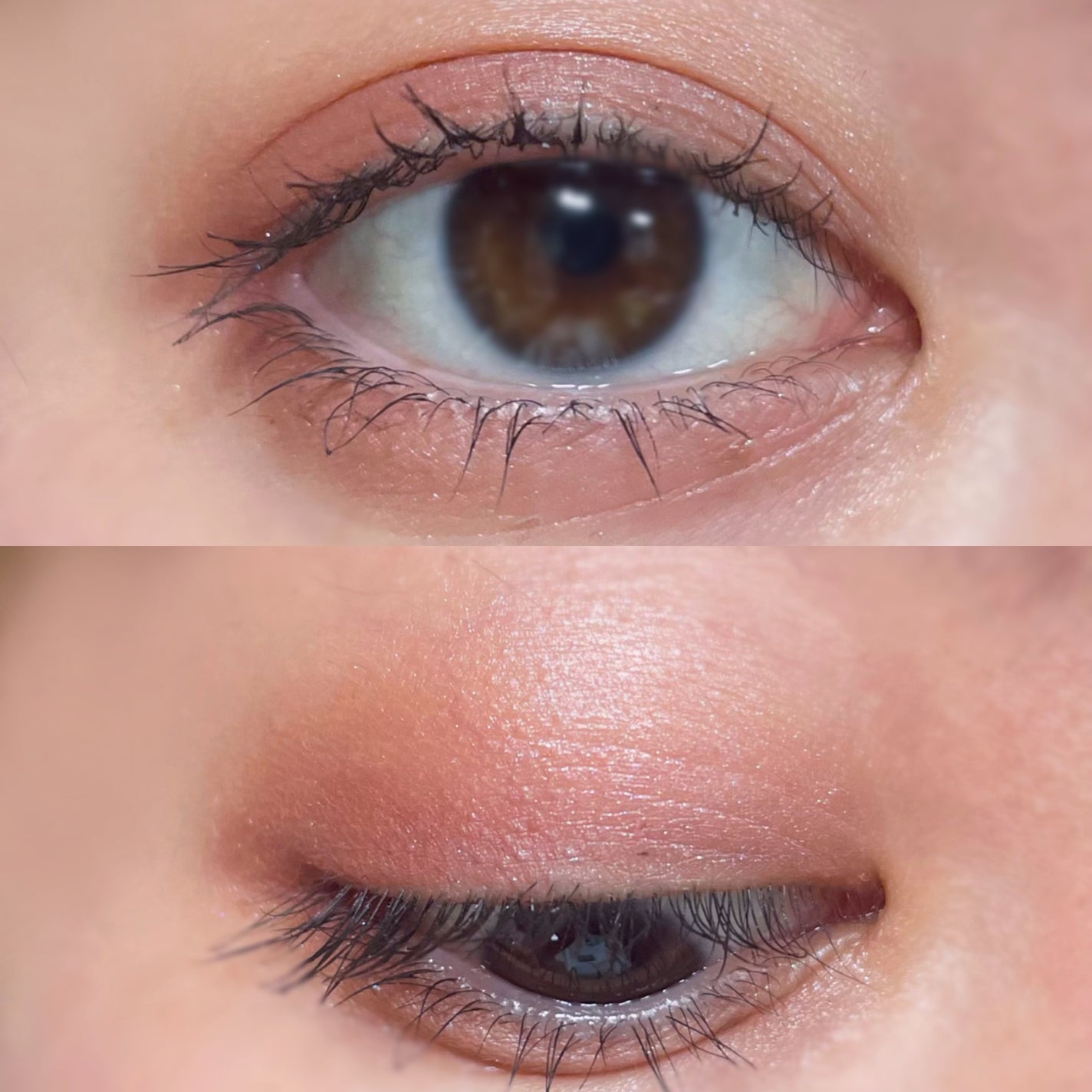 エテュセ アイエディション(カラーパレット)/ettusais/アイシャドウパレットを使ったクチコミ(4枚目)