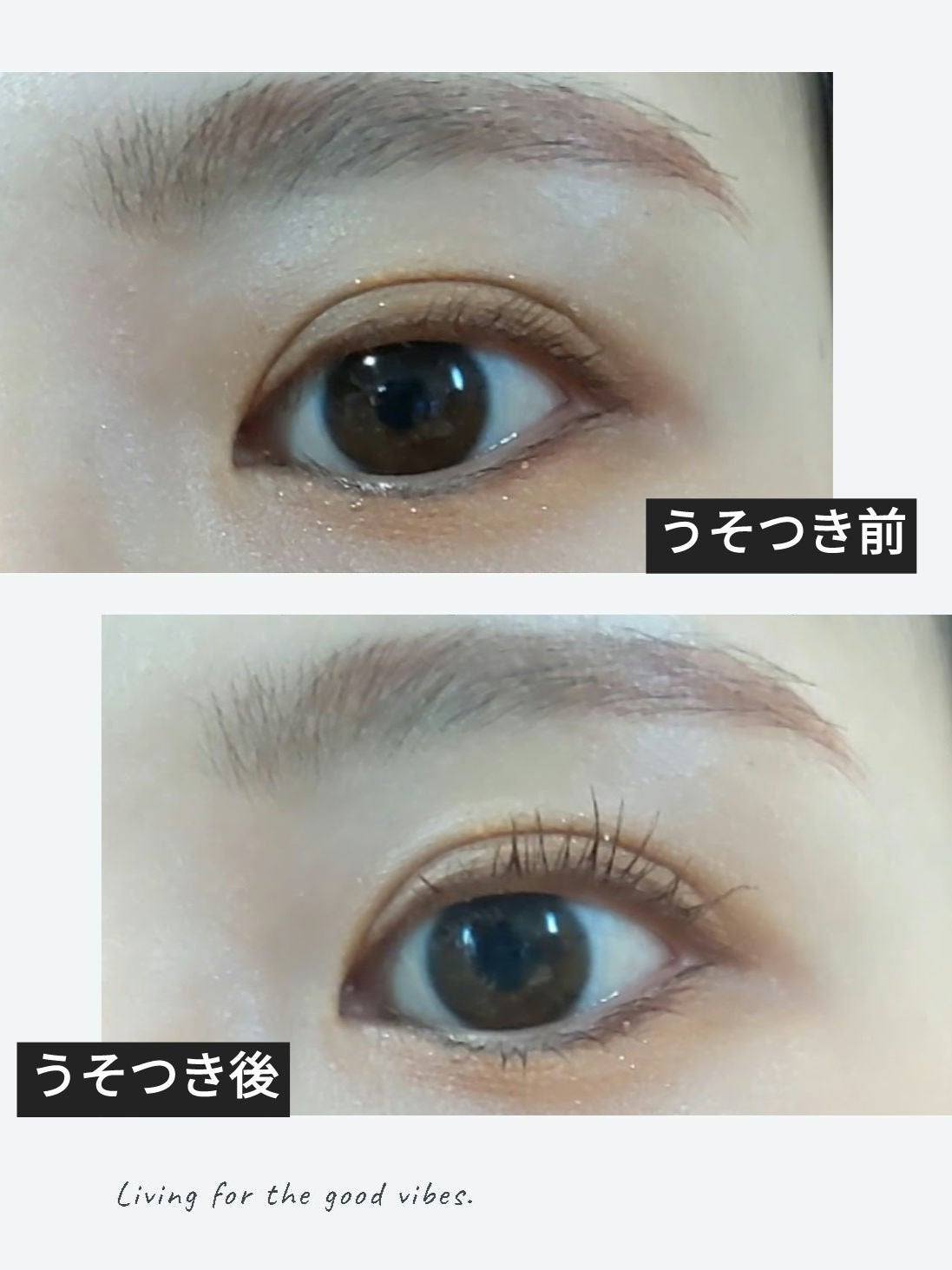 ピメル うそつきマスカラ/pdc/マスカラを使ったクチコミ(2枚目)