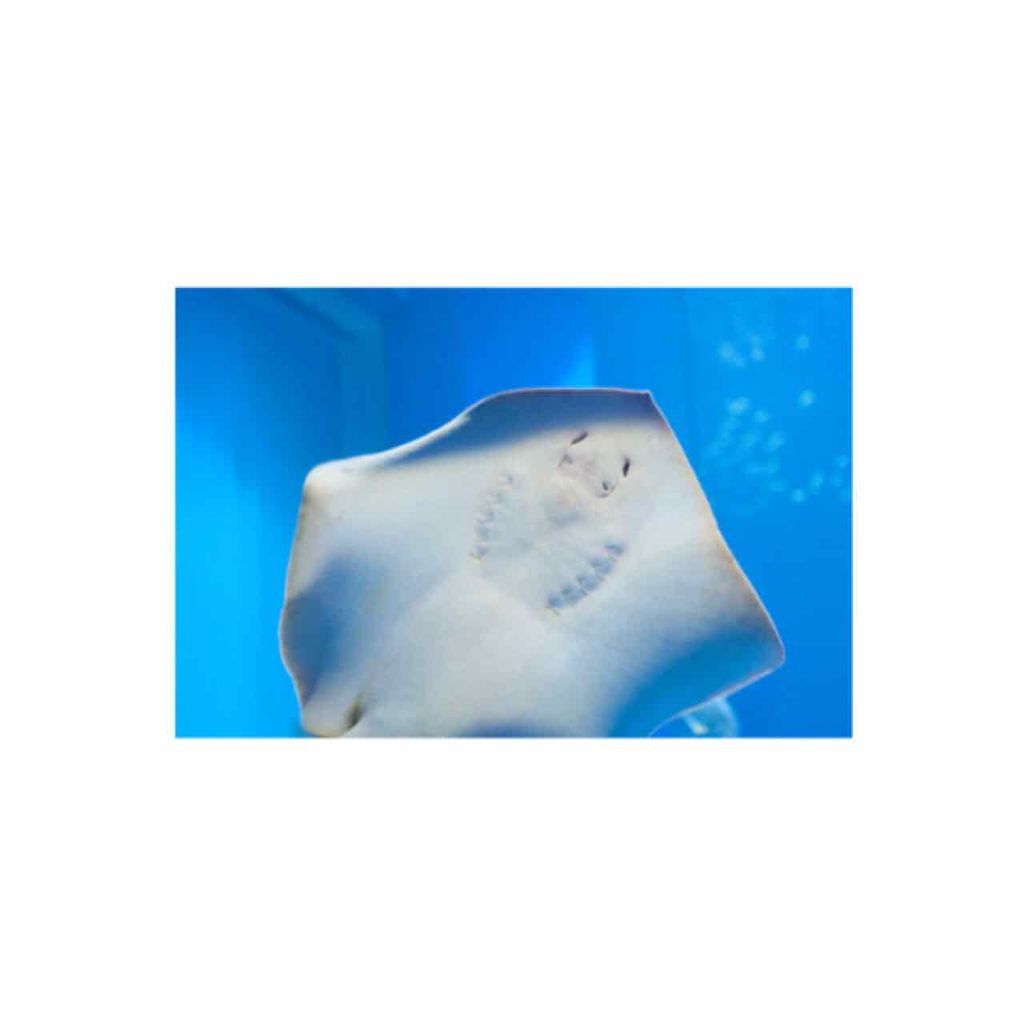 あいみ on LIPS 「自己紹介︎︎☺︎Name☞あいみ(˙꒳˙)Age☞14歳の中..」(1枚目)