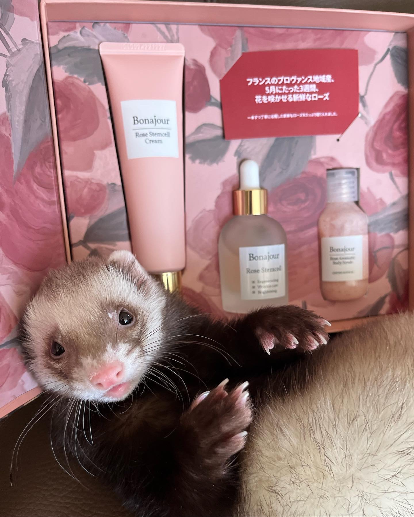 ローズステムセルセラム/Bonajour/美容液を使ったクチコミ（1枚目）