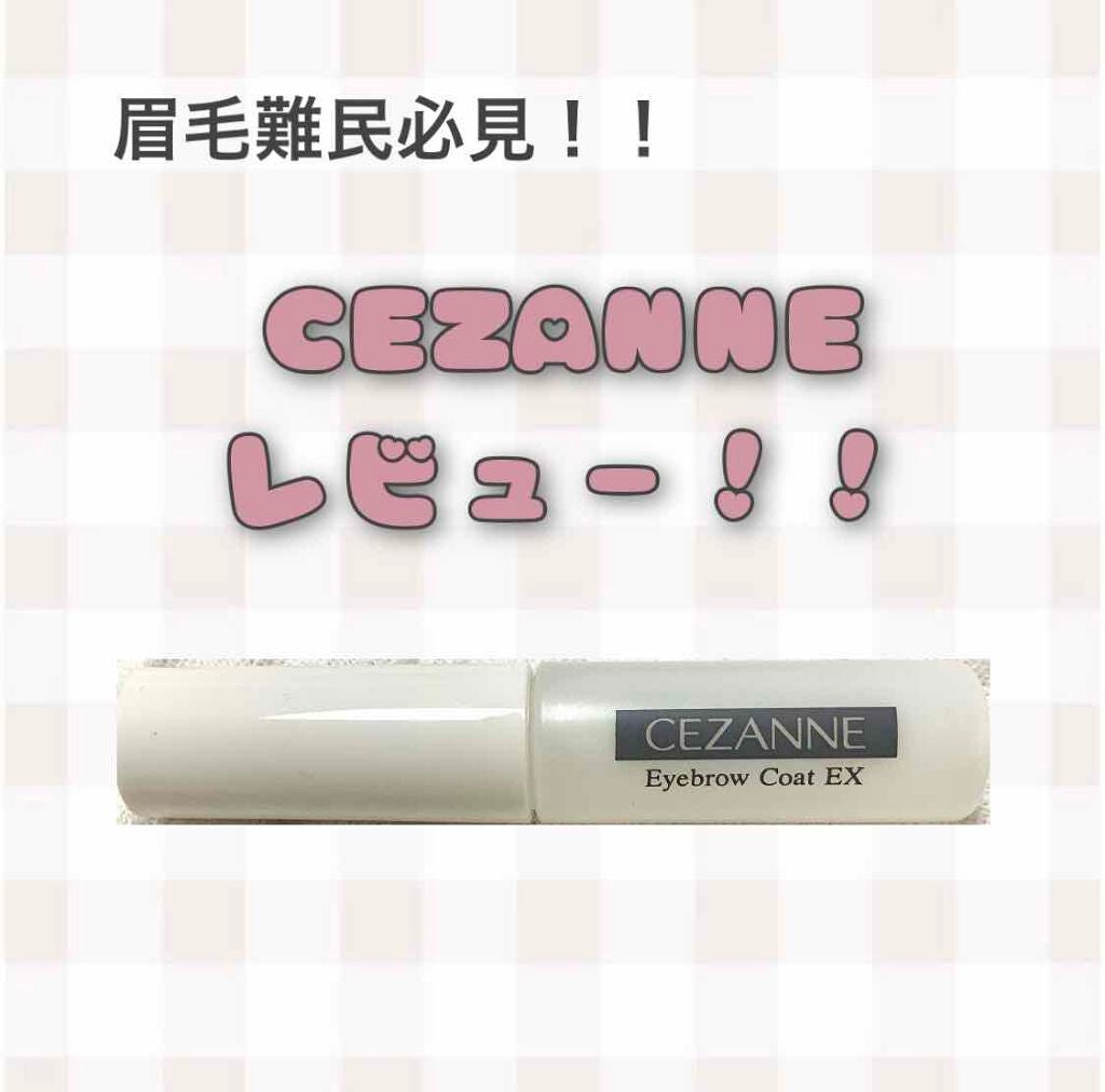 アイブロウコートEX/CEZANNE/アイブロウコートを使ったクチコミ(1枚目)