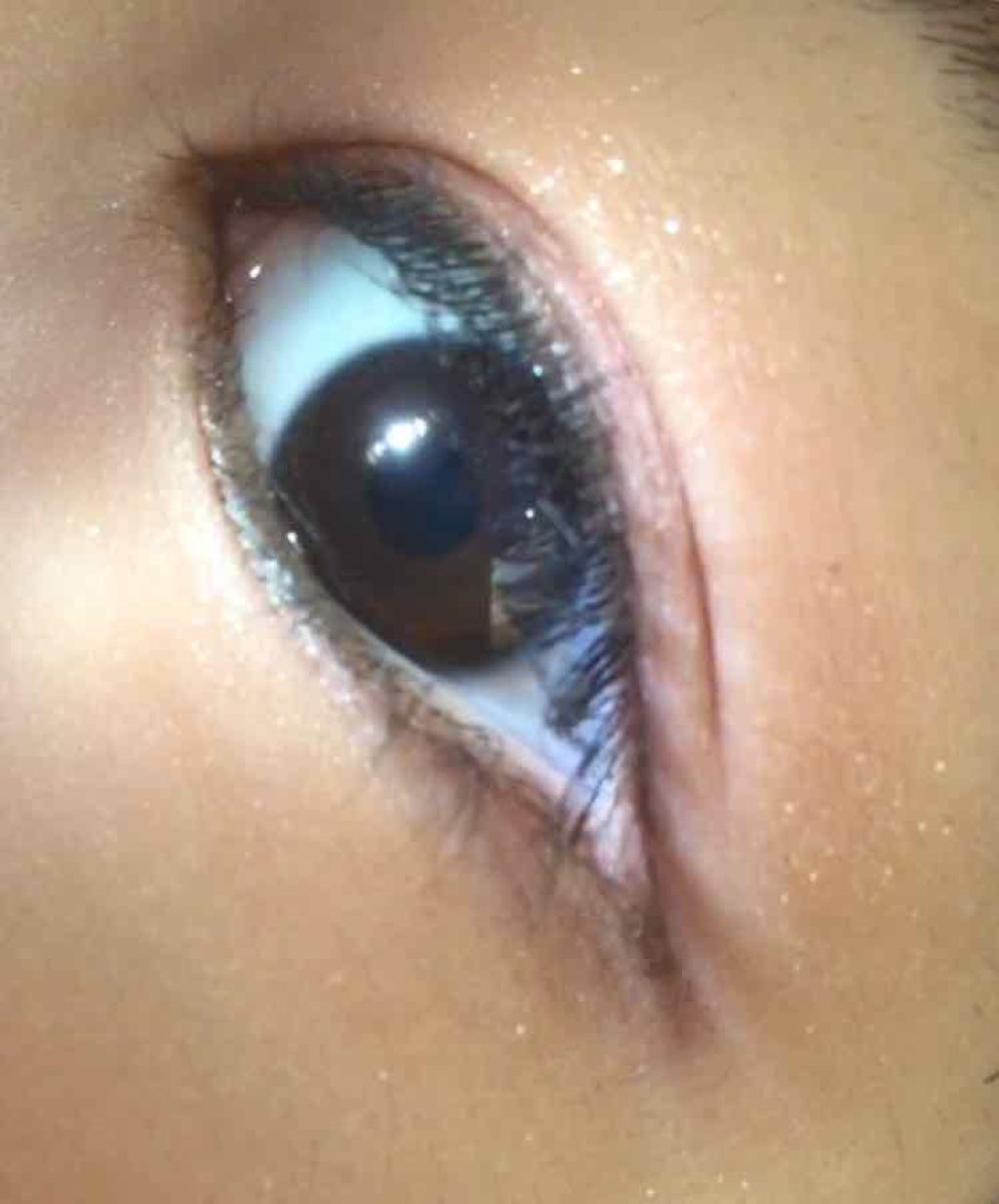 【旧品】パーフェクトスタイリストアイズ/キャンメイク/アイシャドウパレットを使ったクチコミ(2枚目)