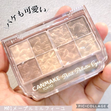 プティパレットアイズ(マットタイプ)/キャンメイク/パウダーアイシャドウを使ったクチコミ(2枚目)