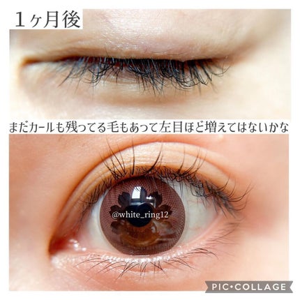 トゥルーアイラッシュセラム/mude/まつげ美容液を使ったクチコミ(8枚目)