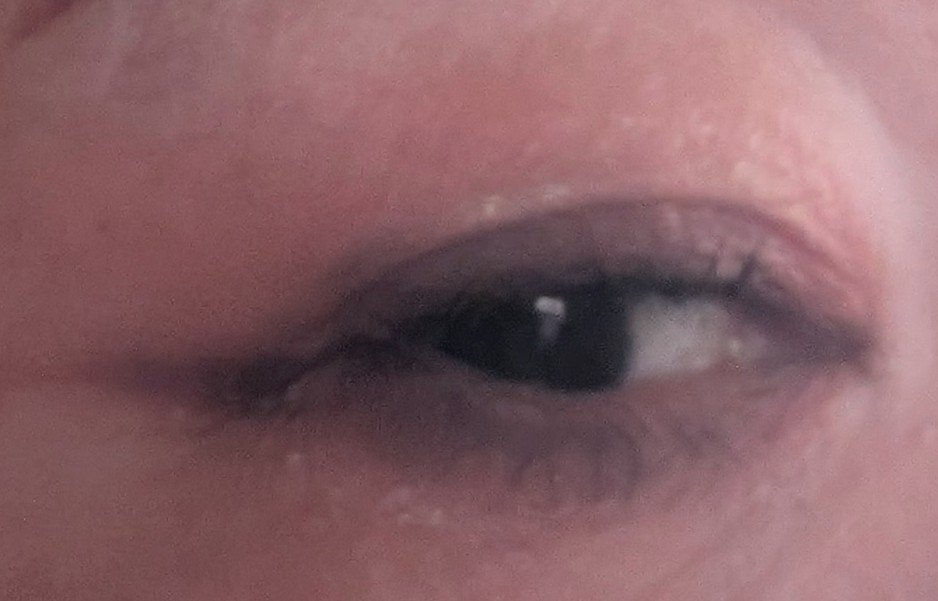 カラーパターンパレット/i’m meme/マルチパレットを使ったクチコミ（2枚目）