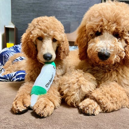 ドクタージャルト シカペア クリーム (第2世代)/Dr.Jart+/フェイスクリームを使ったクチコミ(5枚目)