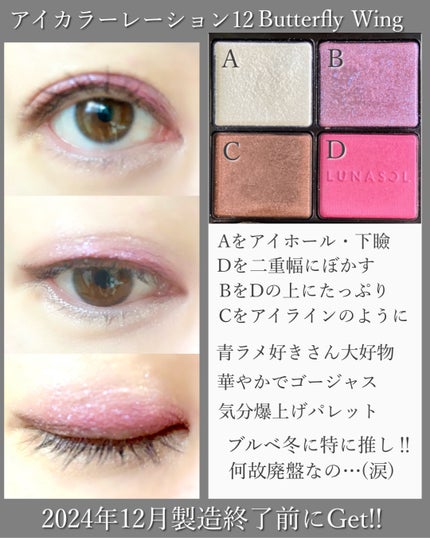 アイカラーレーション 03 Butterfly Wing / LUNASOL(ルナソル アイカラーレーション 03 Butterfly Wing / LUNASOL(ルナソル