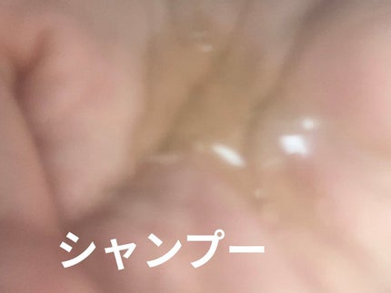 シャンプー/トリートメント SN さらさら/CLAYGE/シャンプー・コンディショナーを使ったクチコミ(2枚目)