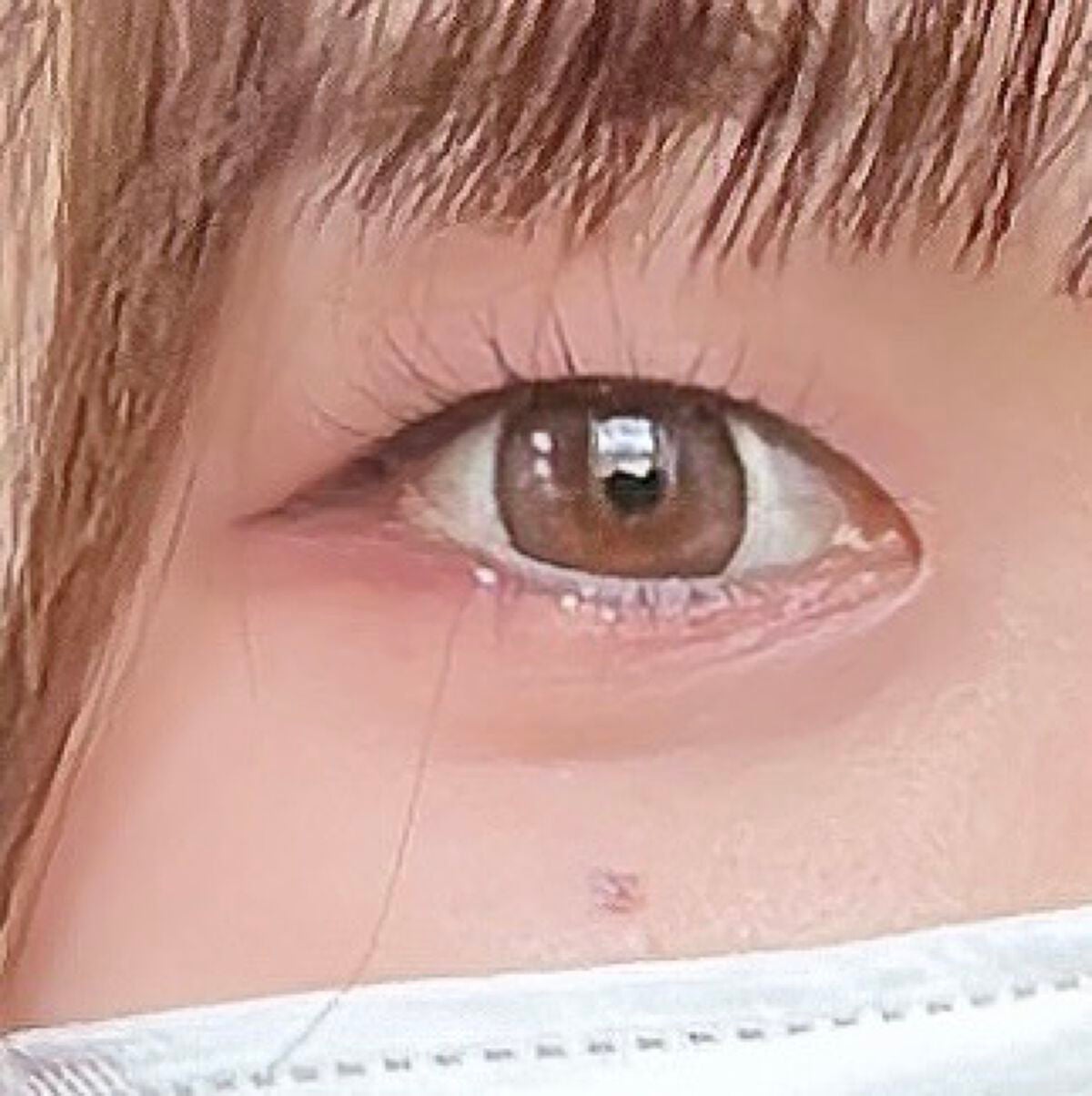 エバーカラーワンデー ナチュラル/エバーカラー/ワンデー(1DAY)カラコンを使ったクチコミ(1枚目)