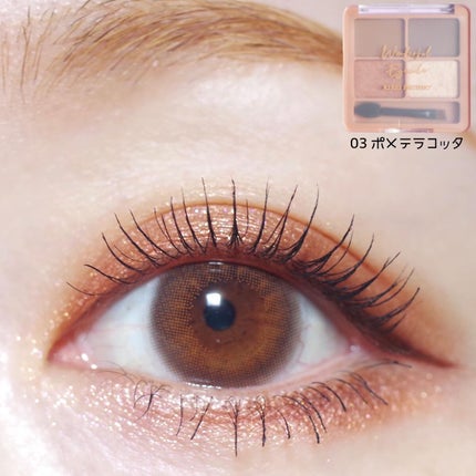 わんだふるアイカラー 03 ポメテラコッタ(テラコッタ系)/KIREI FACTORY/アイシャドウパレットを使ったクチコミ(1枚目)