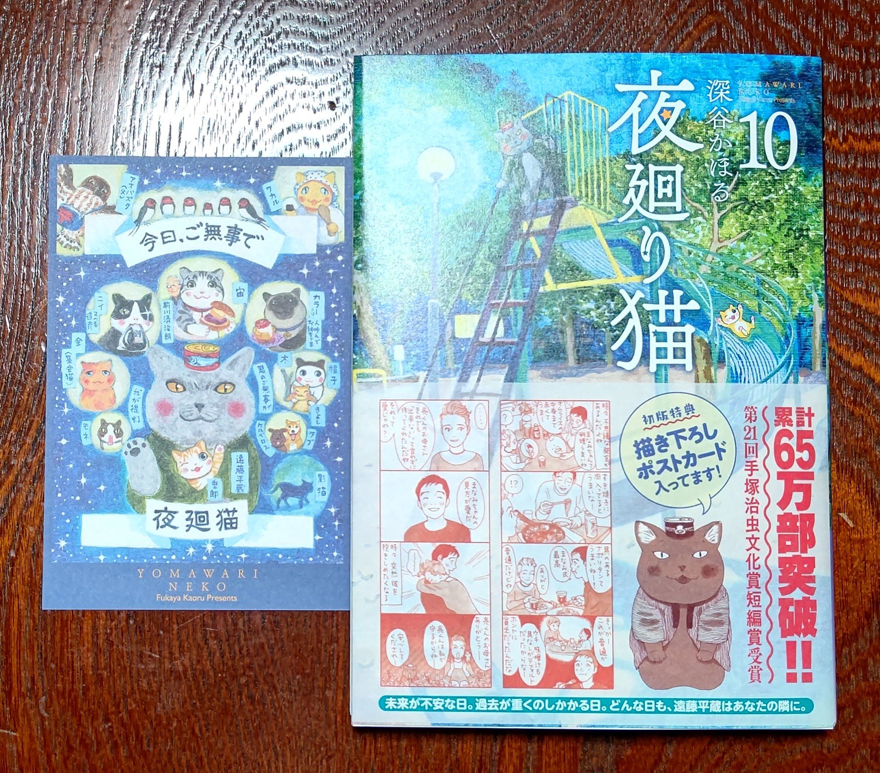 夜廻り猫/講談社/その他を使ったクチコミ（1枚目）