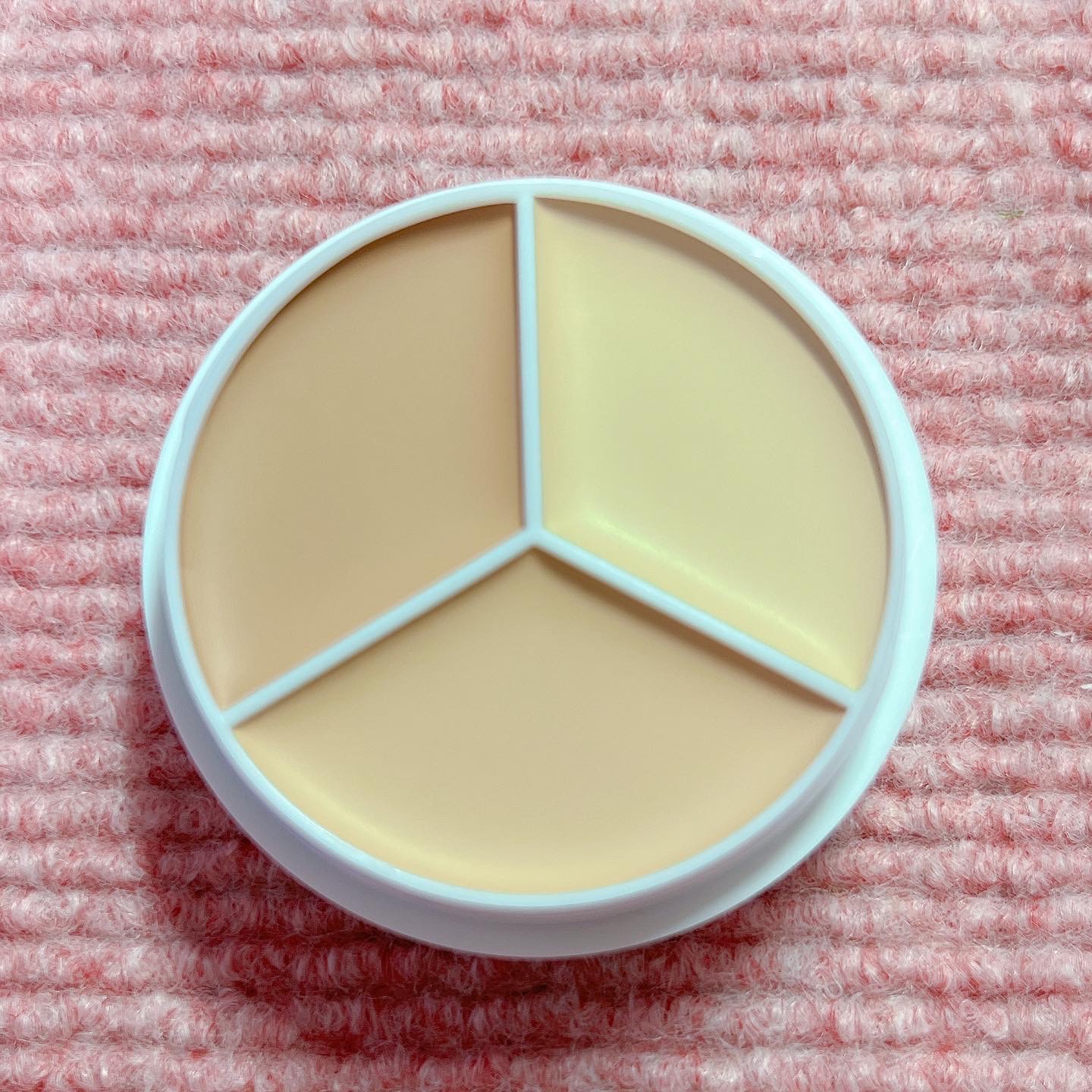 カバーアッププロコンシーラー/TFIT/パレットコンシーラーを使ったクチコミ（2枚目）