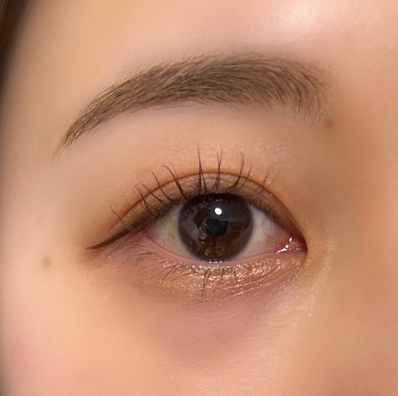 カラーライズスターリーアイズ/S2ND/アイシャドウパレットを使ったクチコミ(3枚目)