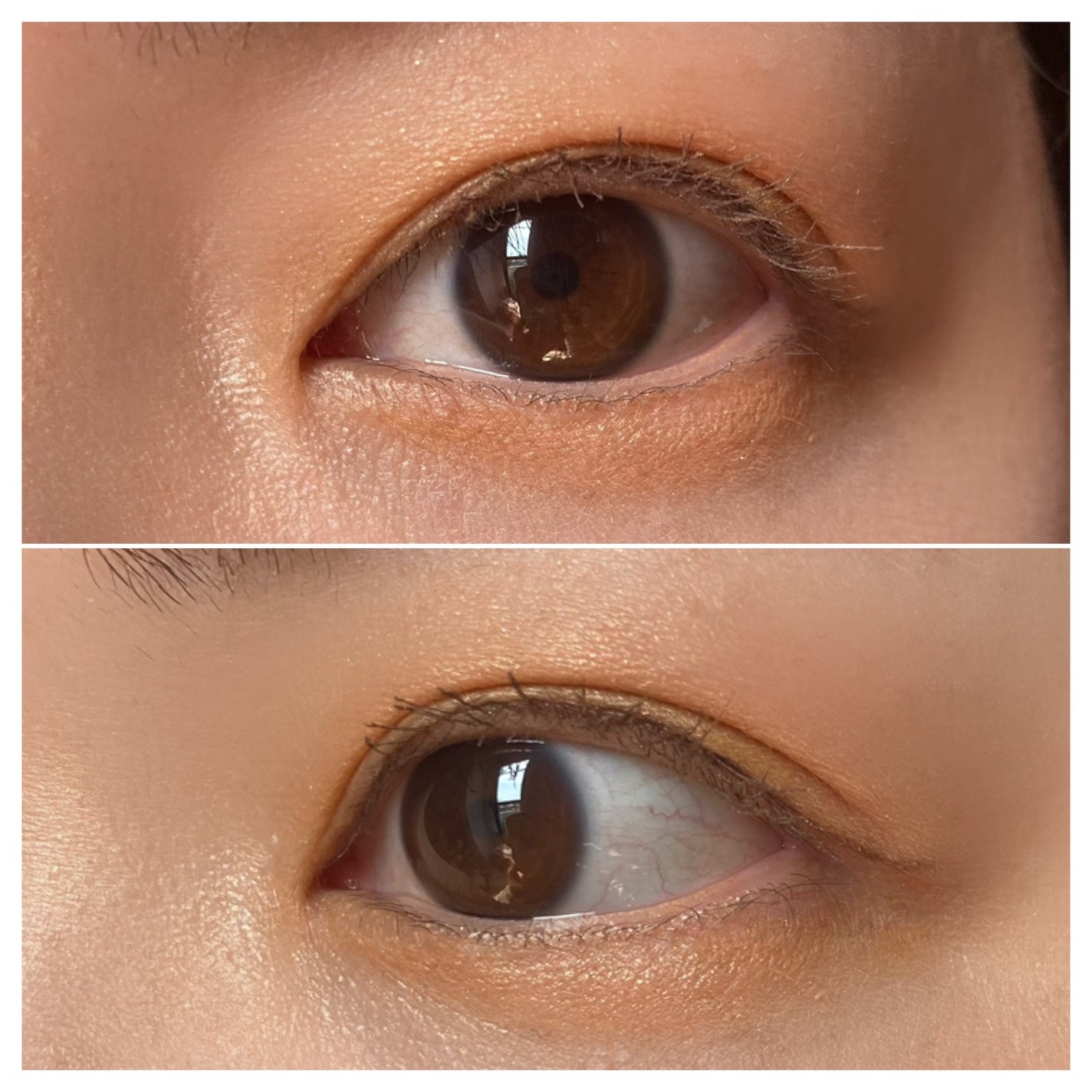 ワンショットアイパレット/CHICAY CHICO/アイシャドウパレットを使ったクチコミ(3枚目)