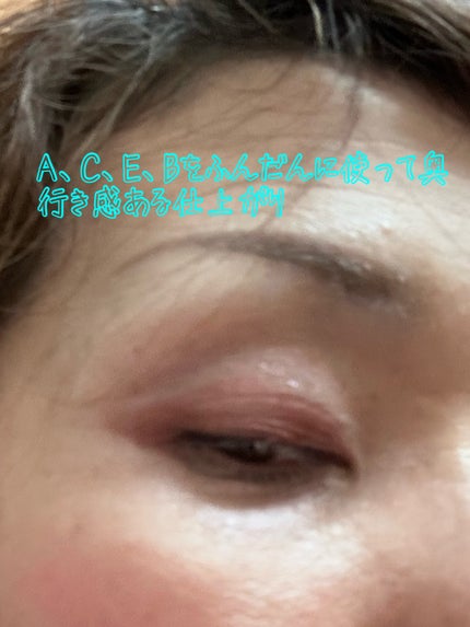 パノラマデザイン アイパレット/Visée/アイシャドウパレットを使ったクチコミ(4枚目)