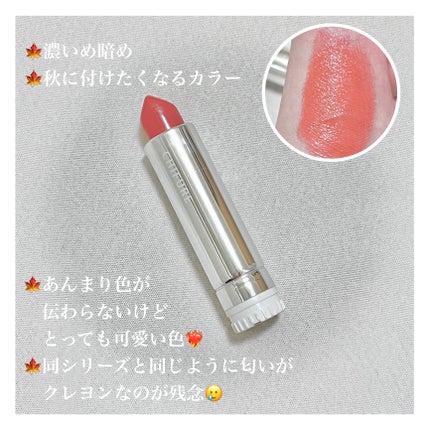 口紅(詰替用) 473 オレンジ系/ちふれ/口紅の画像
