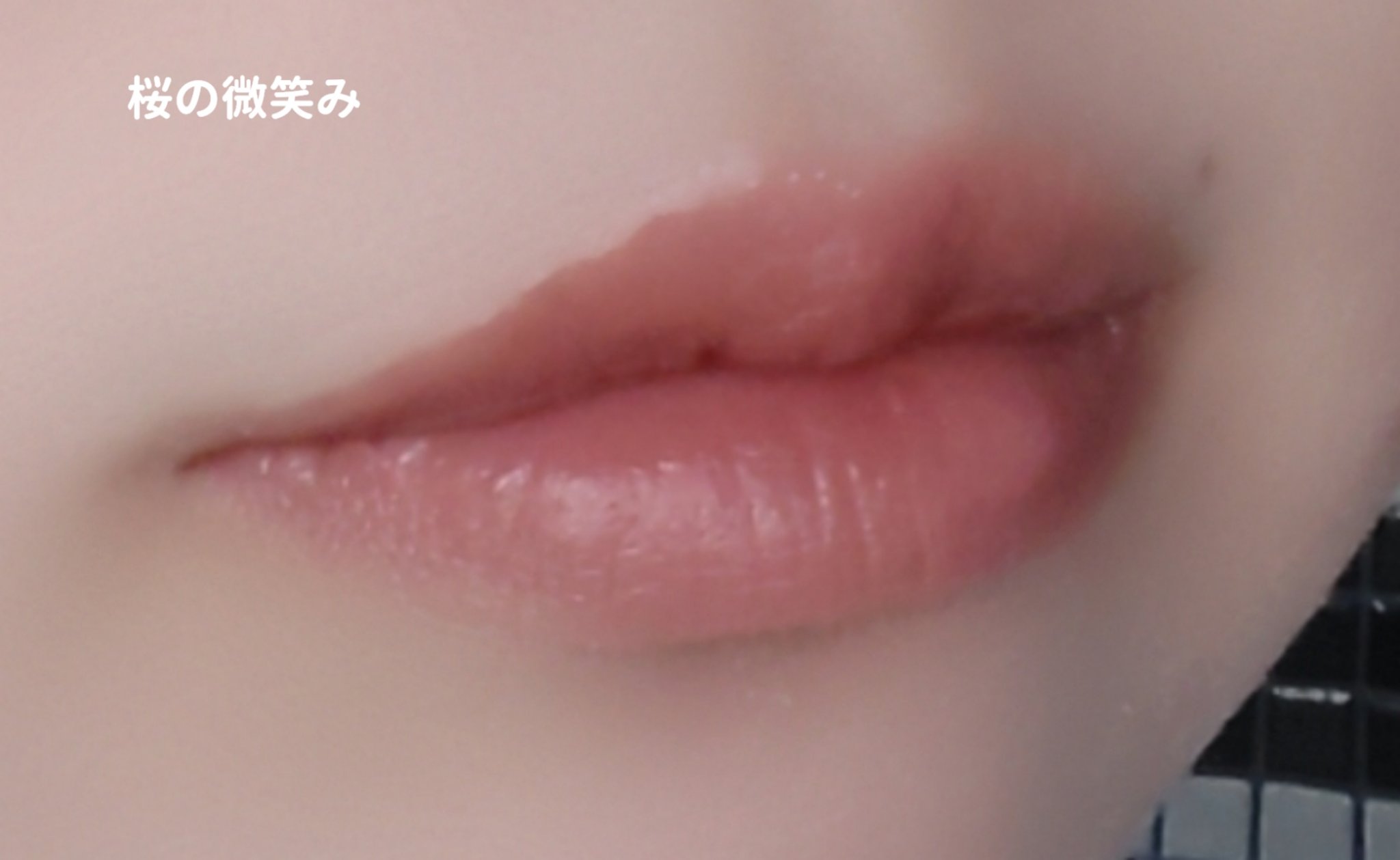 ネンマクフェイク ルージュ/Visée/口紅を使ったクチコミ（3枚目）