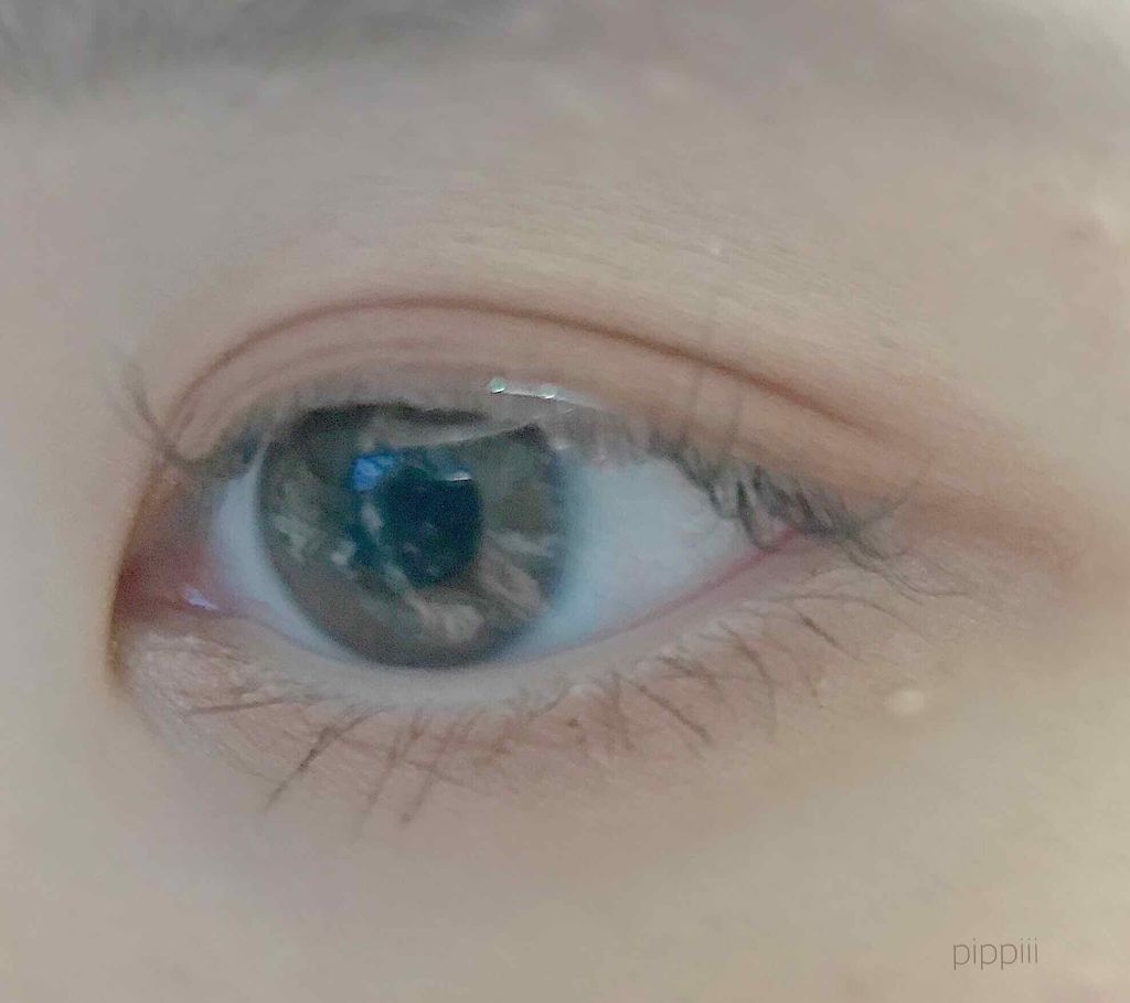 ロイヤルヴィンテージ アイズ/リンメル ロンドン/アイシャドウパレットを使ったクチコミ（2枚目）