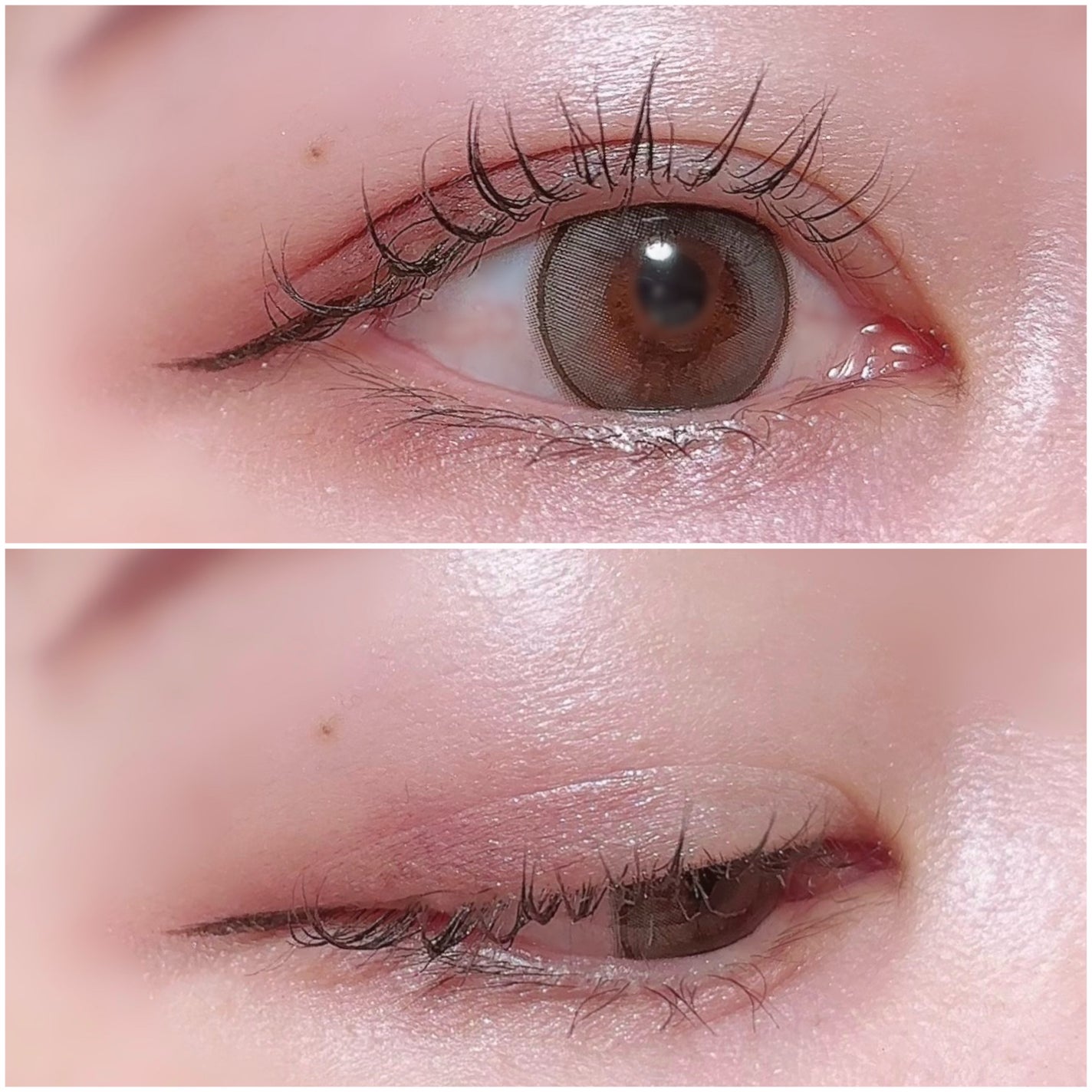 スコール ゴールズ アイシャドウ パレット × 6/M・A・C/アイシャドウパレットを使ったクチコミ(3枚目)