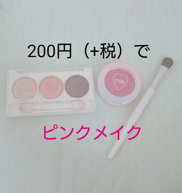 エルファー プロフェッショナル アイシャドウ/DAISO/アイシャドウパレットを使ったクチコミ（1枚目）